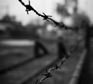 A barbed wire fence is shown in the foreground, the background is out of focus.