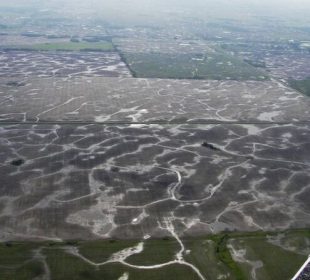 An aerial view of the ground, showing shimmering lines that tell us where the wetlands are.
