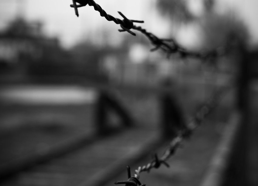 A barbed wire fence is shown in the foreground, the background is out of focus.
