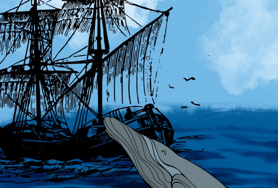 This image shows a drawing of the ocean, with waves below and a blue cloudy sky above. There is a silhouette of a large ship in the background with birds flying around, and a whale jumping out of the water in the front.