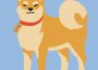 A graphic of a Shiba dog with orange and cream coloured fur wearing a red collar that has a “for sale” tag on it.