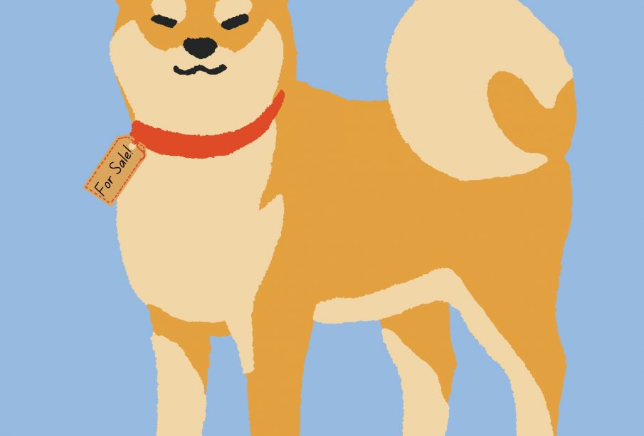 A graphic of a Shiba dog with orange and cream coloured fur wearing a red collar that has a “for sale” tag on it.