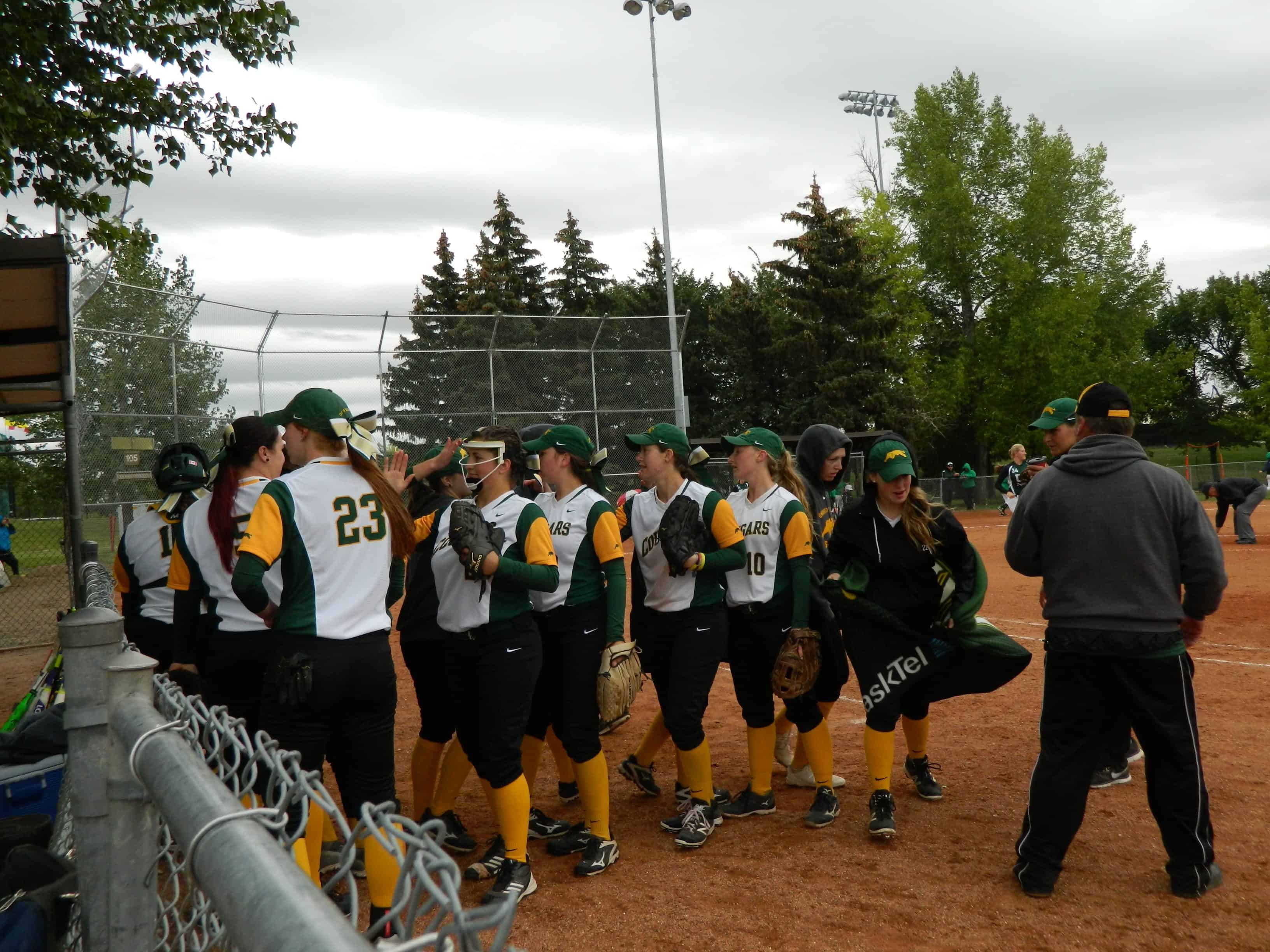 Softball