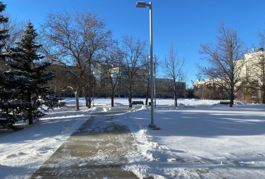 A photo of the Academic Greens. The residence towers and the library building are visible in the distance.