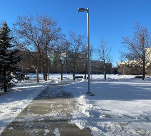 A photo of the Academic Greens. The residence towers and the library building are visible in the distance.