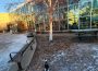 A cat on a leash, walking outside the Riddell Centre.