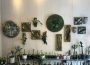 A photo of Succulios Studio’s wall, full of succulent and moss art, there are shelves that are covered in cacti just below the wall of art.