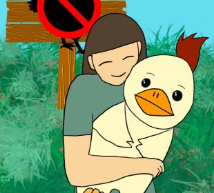A sign banning chickens looms in the left background over the shoulder of a person hugging a large self-satisfied appearing chicken. 
