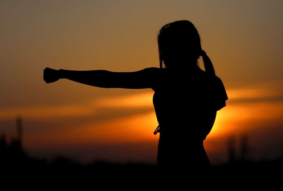 A solid black silhouette of a figure practicing a punch in a wide-open space. In the background is a sunset.
