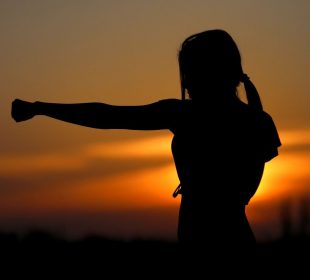A solid black silhouette of a figure practicing a punch in a wide-open space. In the background is a sunset.