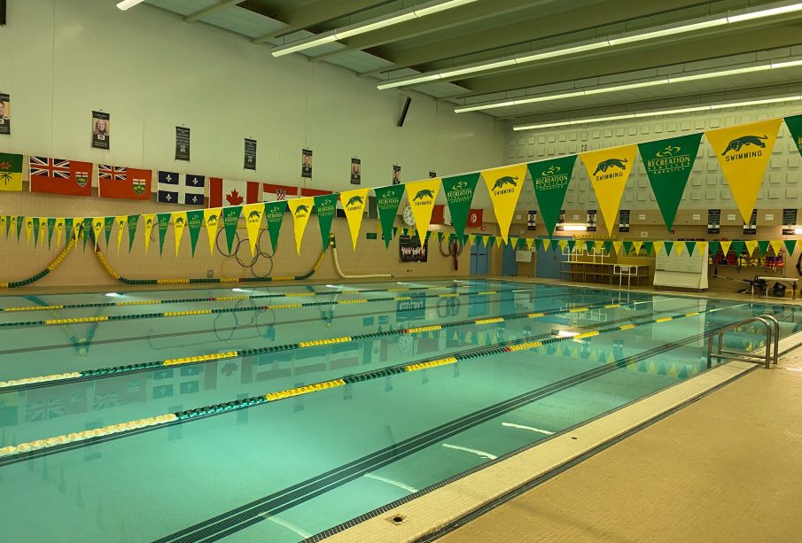 A photo of the Aquatic Centre’s lap swimming pool while empty. The pool is separated into five 25 metre swimming lanes by four yellow and green dividers, and two yellow and green Cougars swimming banners hang across the width of the pool. There are flags hanging on the wall and photos of people above them. Along the back wall is a shelf full of lifejackets, a whiteboard with writing on it and some desks.