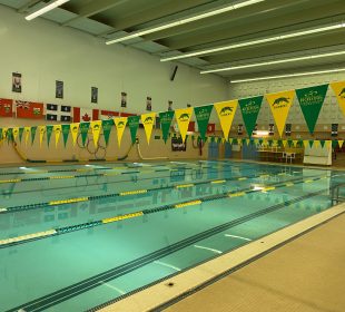 A photo of the Aquatic Centre’s lap swimming pool while empty. The pool is separated into five 25 metre swimming lanes by four yellow and green dividers, and two yellow and green Cougars swimming banners hang across the width of the pool. There are flags hanging on the wall and photos of people above them. Along the back wall is a shelf full of lifejackets, a whiteboard with writing on it and some desks.