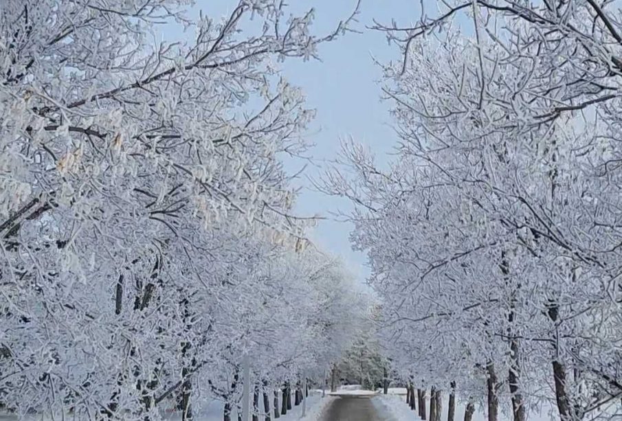 The walkway from Kramer leading to the Riddell Centre, covered in snow.