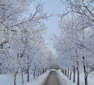 The walkway from Kramer leading to the Riddell Centre, covered in snow.