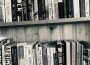 A black and white photograph of a bookshelf with two full shelves. The top shelf includes Thrust by Lidia Yuknavitch; Vita Nostra by Marina and Sergey Dyachenko; A Little Life by Hanya Yanaghihara; The Wolf Den by Elodie Harper; Hamnet by Maggie O’Farrell; The Secret History by Donna Tartt; My Year of Rest and Relaxation by Ottessa Moshfegh; White on White by Ayşegül Savaş; Big Swiss by Jen Beagin; Across a Hundred Mountains by Reyna Grande; Piranesi by Susanna Clarke; Jawbone by Mónica Ojeda; Intimacies by Katie Kitamura; This Vicious Grace by Emily Thiede; Woman, Eating by Claire Kohida; Yolk by Mary H.K. Choi; Stone Blend by Natalie Haynes; The Goldfinch by Donna Tartt; and Fourth Wing by Rebecca Yarros. The second shelf holds Gate 7 by manga artist group Clamp; Cabin Porn by Little, Brown and Company; Chromophobia by David Batchelor; Summer 2020 Ecology Issue No. 41 of Qwerty; Spring 2023 Issue No. 295 of The Fiddlehead; Transforming Power by Judy Rebick; Determinants of Indigenous Peoples’ Health Second Edition by Greenwood, de Leeuw, and Lindsay; Me Tomorrow: Indigenous Views of the Future by Douglas & McIntyre; Clearing The Plains by James William Daschuk; The Communist Manifesto by Marx and Engels; Saskatchewan Dirt: A Pandemic Quest for Connection by Bev Lundahl; Survival of the Friendliest by Brian Hare and Vanessa Woods; Women, Culture, & Politics by Angela Y. Davis; Weeds of Canada and the Northern United States by Royer & Dickinson; Pure Colour by Sheila Heti; Listening to the Beat of our Drum edited by Carrie Bourass, Elder Betty McKenna and Darlene Juschka; Noticed, Known and Missed by Cara Milne; The Power of Disability by Al Etmanski; and From Left to Right: Saskatchewan’s Political and Economic Transformation by Dale Eisler.