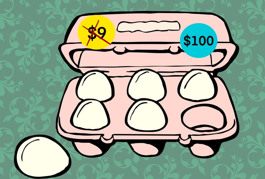 A six-pack of eggs with one egg outside the pink carton. The carton is priced at $100, with a $9 price tag crossed out.