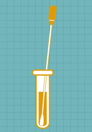 This is a graphic of a long cotton swab in a test tube. The outline of both is orange, and the fluid in the tube is also orange.