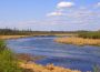 A body of water is pictured. There is greenery and tan plants growing around it. The sky is bright blue, with a few fluffy, white clouds.