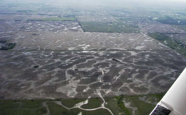 An aerial view of the ground, showing shimmering lines that tell us where the wetlands are.