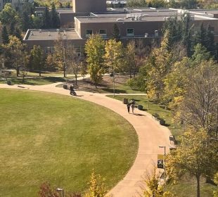 The Academic green is photographed from above. The grass is a duller green than usual, and the leaves on trees are turning hues of yellow and red.