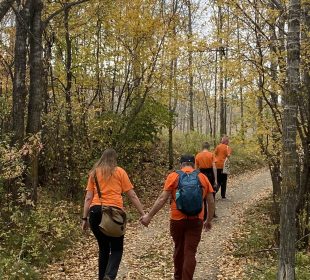 Four people wearing orange shirts walk on a path flanked by tall birch trees.