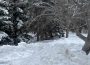 A heap of plowed snow is in the foreground of a photograph, there are evergreen trees with snow heaped on them in the background