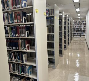 Stacks of books are shown on shelves in Archer Library