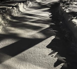 A photo of the Wascana trails, with lights and shadows forming an eerie pattern.