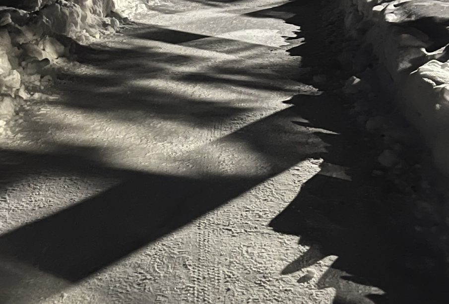 A photo of the Wascana trails, with lights and shadows forming an eerie pattern.