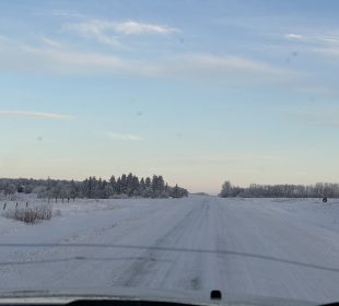 A photo showing the landscape covered in snow as far as one can see.