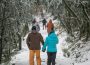 A couple in winter gear walking down in a path in snowy woods, more people ahead.