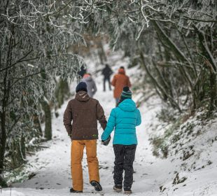 A couple in winter gear walking down in a path in snowy woods, more people ahead.