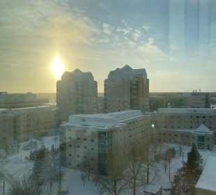 A photo of campus taken from a dorm window