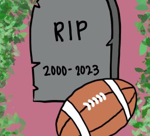 A football sits against a grey gravestone in a garden with the words “RIP 2000-2023” inscribed on the stone.