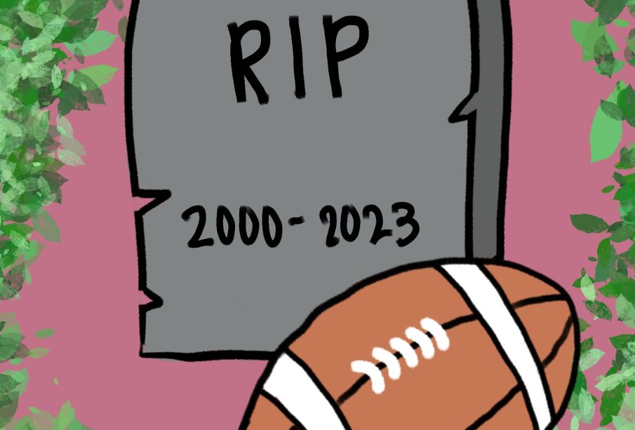 A football sits against a grey gravestone in a garden with the words “RIP 2000-2023” inscribed on the stone.