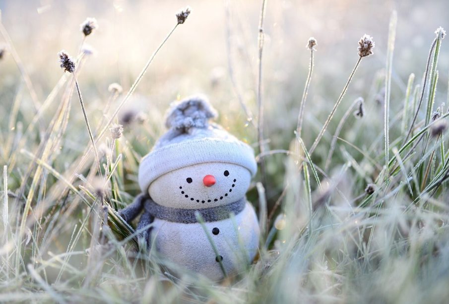 This photo shows a small decorative snowman sitting amid frosted grass. The snowman wears a scarf and hat, and has a carrot nose with black dots for the eyes, mouth, and jacket buttons. Under the frost, grass is beginning to come alive, and sunlight is pouring into the image.