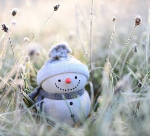 This photo shows a small decorative snowman sitting amid frosted grass. The snowman wears a scarf and hat, and has a carrot nose with black dots for the eyes, mouth, and jacket buttons. Under the frost, grass is beginning to come alive, and sunlight is pouring into the image.