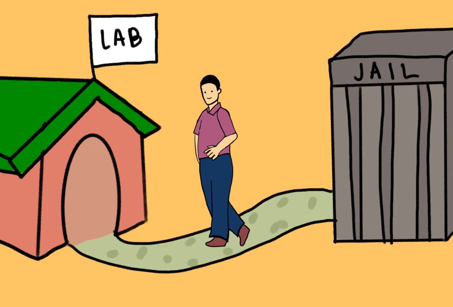 He Jainkui walks straight out of prison and back into the lab to continue gene-editing experiments.
