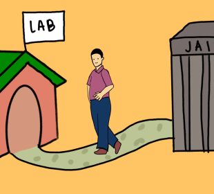 He Jainkui walks straight out of prison and back into the lab to continue gene-editing experiments.