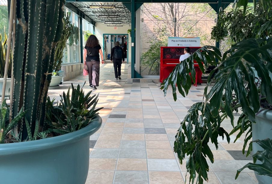 A photo taken on the university’s main campus in the greenhouse-like room that connects the Riddel Centre to the Education Building. Two large potted plants frame either side of the photo, a person in a white shirt plays a red upright piano, and two people walk away from the camera down the hall toward the Riddell Centre. 