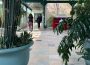 A photo taken on the university’s main campus in the greenhouse-like room that connects the Riddel Centre to the Education Building. Two large potted plants frame either side of the photo, a person in a white shirt plays a red upright piano, and two people walk away from the camera down the hall toward the Riddell Centre. 
