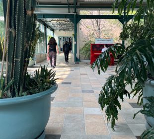 A photo taken on the university’s main campus in the greenhouse-like room that connects the Riddel Centre to the Education Building. Two large potted plants frame either side of the photo, a person in a white shirt plays a red upright piano, and two people walk away from the camera down the hall toward the Riddell Centre. 