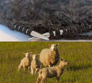 There are two photos stacked on top of each other, one of a fibre craft in progress with metal knitting needles and a dark grey or black material. The other is a photo of an ewe and her three lambs in a field of wild grass.