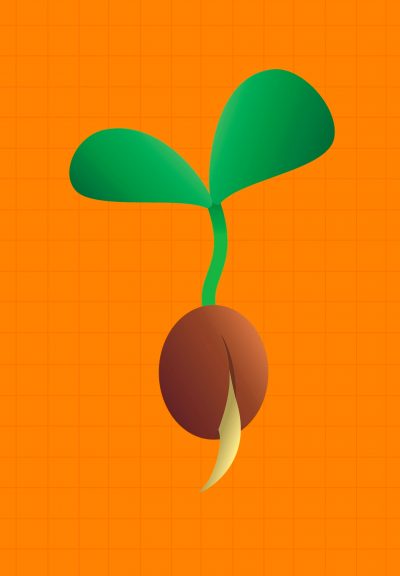 A small green seed is sprouting against an orange background.