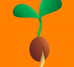 A small green seed is sprouting against an orange background.