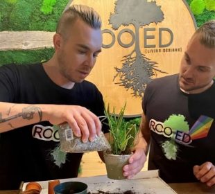Two people with short blond hair shaved on the sides of their heads and shirts denoting the store they work at, Rooted Living Designs, are adding soil to a plant pot with two cacti in it. The wall behind the people is covered in moss and has railroad ties behind a circle of wood that has been carved to reflect the store’s name with the image of a tree with long roots as the “t” in the word “Rooted”.