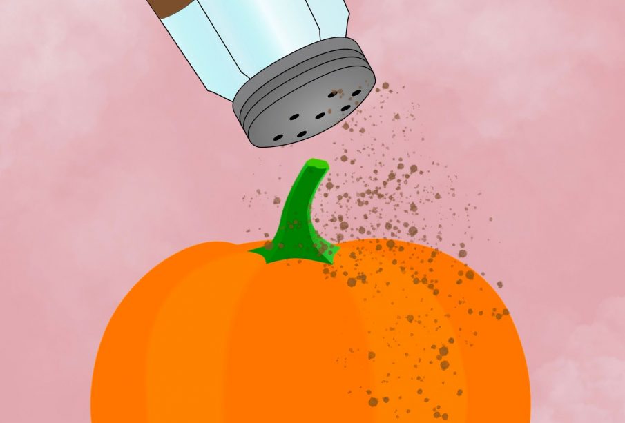 A pumpkin being sprinkled with spice from a container labelled “Spice,” all on a pink background.