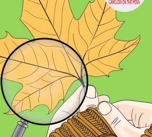 A magnifying glass is positioned above two hands with knitted wristbands holding the stem of a maple leaf. A small logo stating “Carillon on the move” is in one corner.