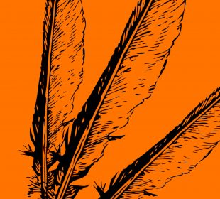 Three feathers are fanned out above an orange background.