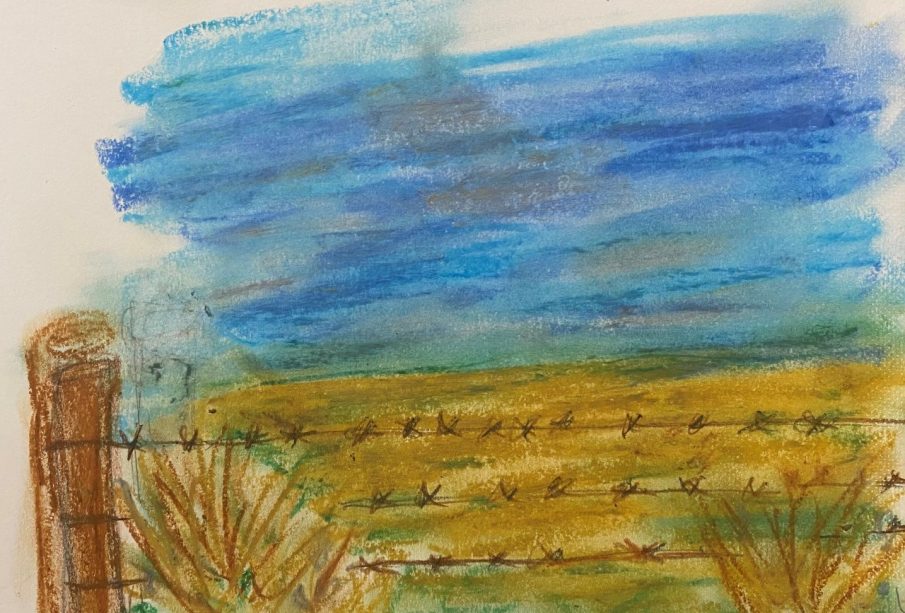 A pen and pastel depiction of a fenced-off golden field under a sky of blue-grey tones.